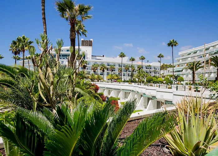 Estudio - La Caleta *